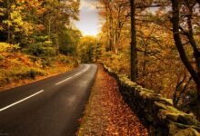 در فصل پاییز به کجای ایران سفر کنیم؟ (+ تصاویر)