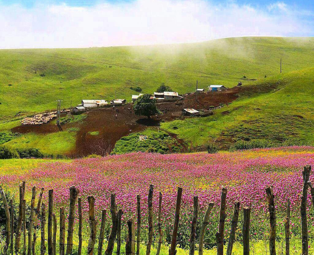 دهکده هلودشت کجاست ؟
