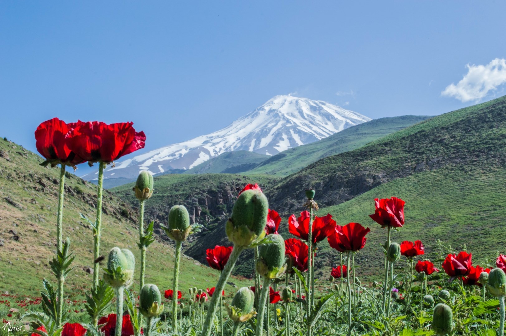 دشت لار کجاست + عکس