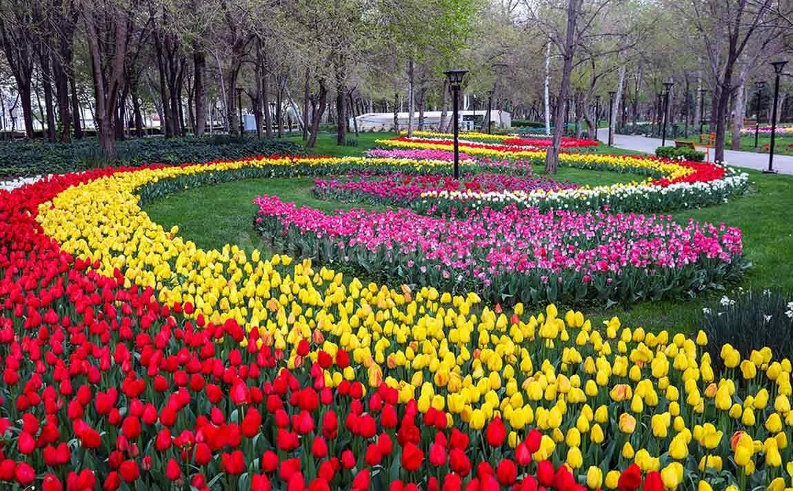 عکس باغ گل‌های کرمانشاه