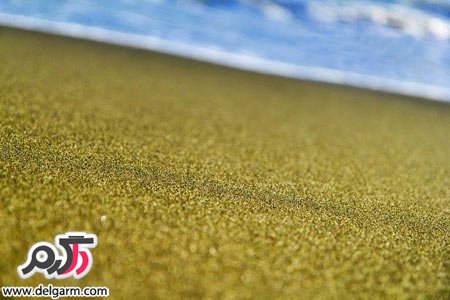 ساحل سبز رنگ زیبا در هاوایی + تصاویر  (+ تصاویر)