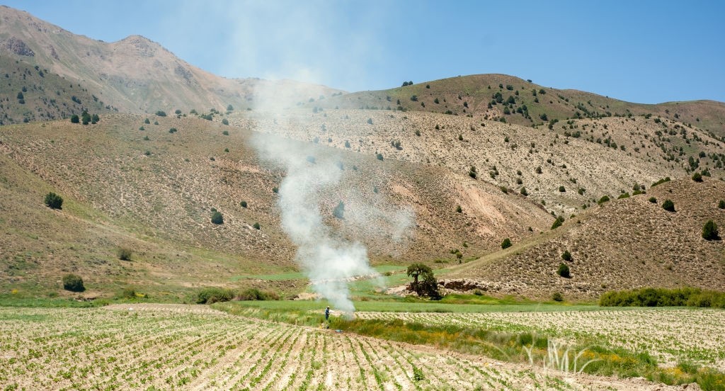 فضای سبز آلاشت