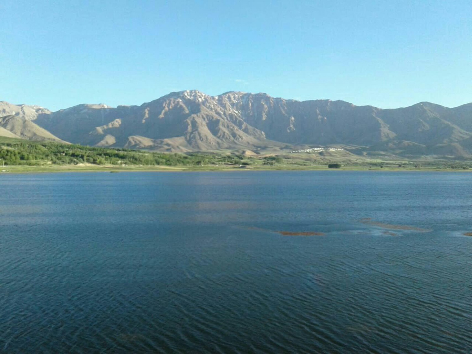 عکس از تالاب چغاخور