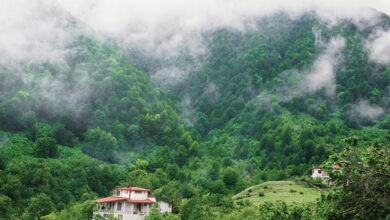 روستای جنگلی اندبیل کجاست؟ راهنمای سفر به شهرستان خلخال (+ تصاویر)