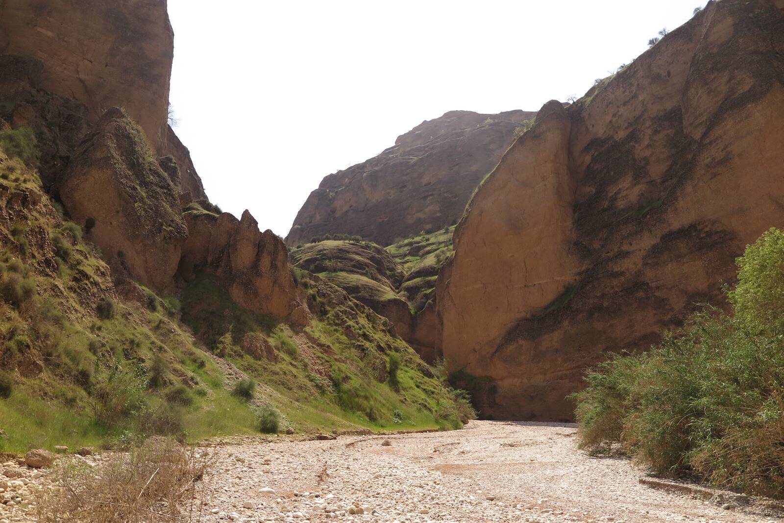 کول خرسان