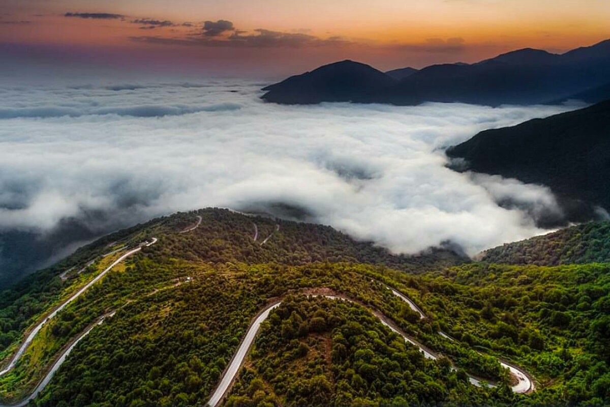 سفر به جنگل های گرگان