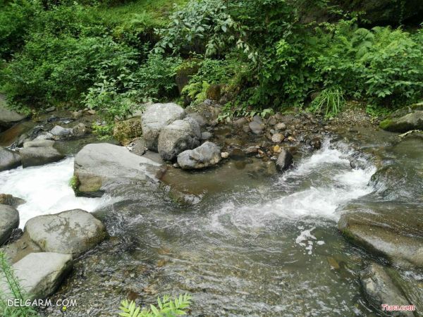 آب گرم فلکده