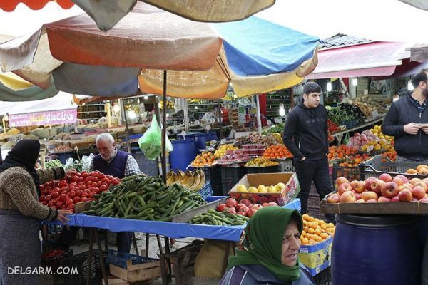 بازار روز نوشهر