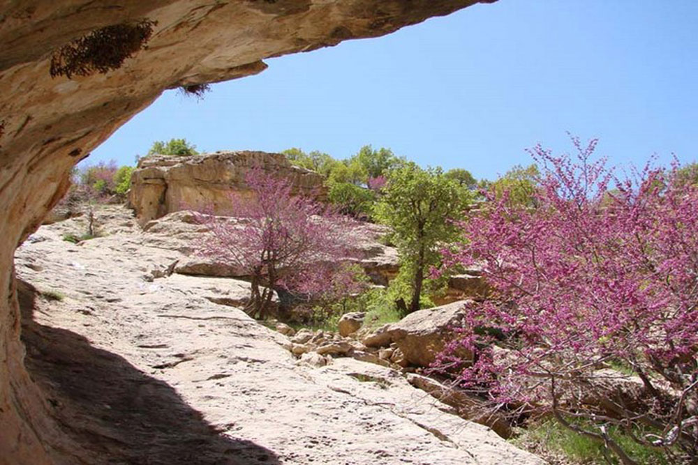 تنگه ارغوان، طبیعتی دنج در ارتفاعات ایلام (+ تصاویر)