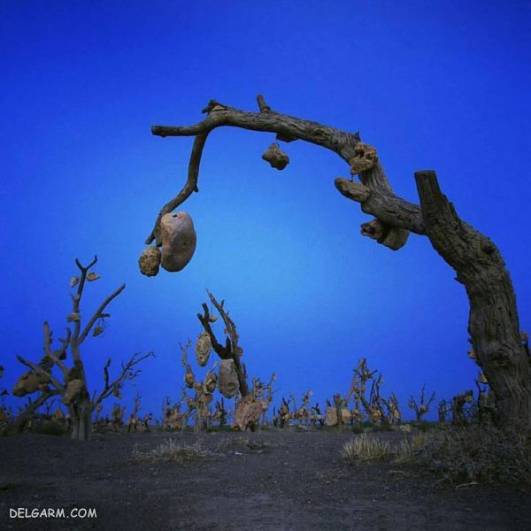 باغ اسرار‌آمیز سنگی در شهر سیرجان