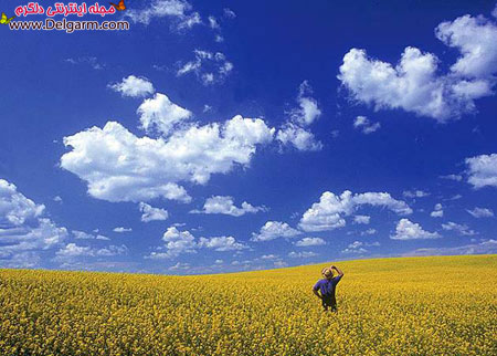 جاذبه های گردشگری در کانادا