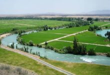 همه چیز در مورد چمگردان عقیق زیبای لنجان (+ تصاویر)