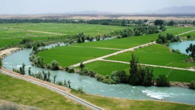همه چیز در مورد چمگردان عقیق زیبای لنجان (+ تصاویر)