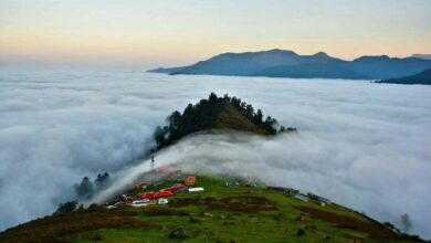 جنگل ابر ماسال کجاست ؟ (+ تصاویر)