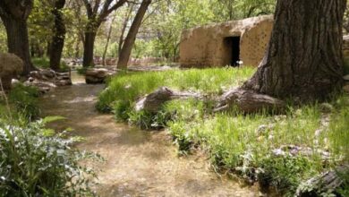 روستای وانشان گلپایگان با زیبایی های تاریخی (+ تصاویر)