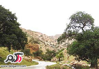 زیباترین جاده های ایران