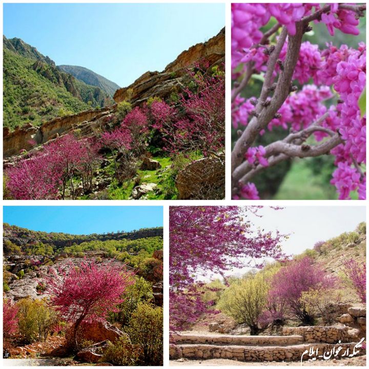 جاهای سرسبز ایلام برای سیزده بدر