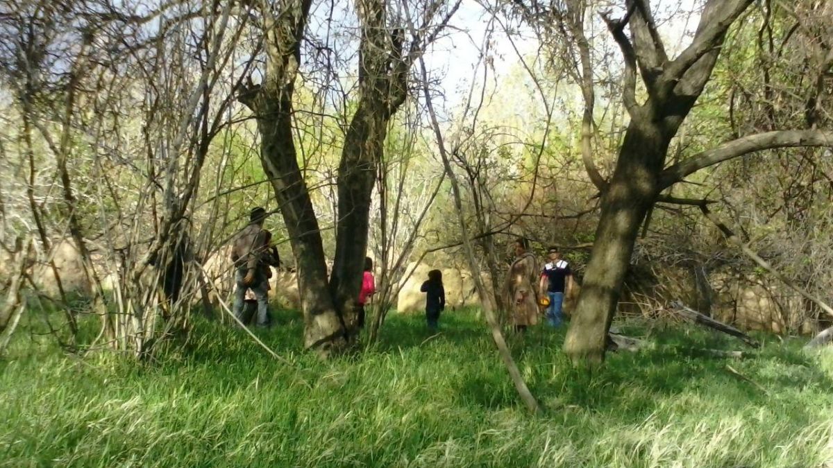 معرفی ۱۰ مکان طبیعی برای سیزده بدر در کرمان (+ تصاویر)
