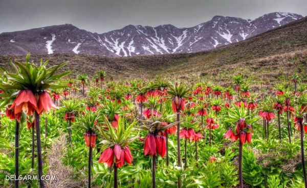 بهترین مکان برای سیزده بدر در اصفهان