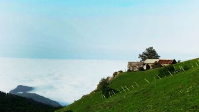 دیدنی های مازیچال : روستایی رویایی و مسحور کننده در کلاردشت (+ تصاویر)