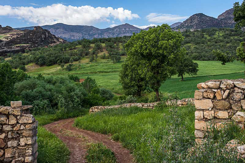 مخمل کوه لرستان , سرزمین قله‌های سربه فلک کشیده (+ تصاویر)