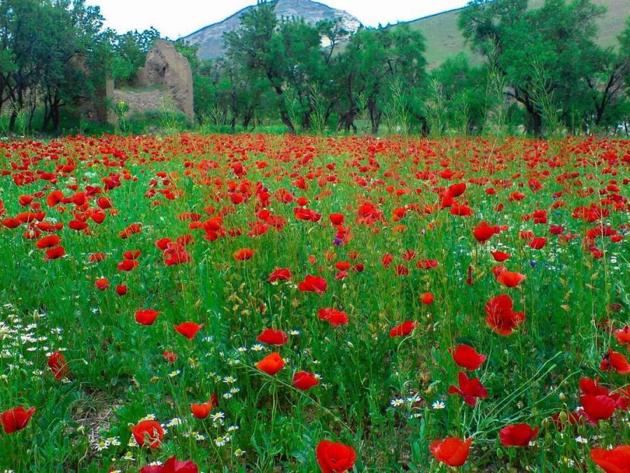 آشنایی با مکان های دیدنی و گردشگری تفرش (+ تصاویر)