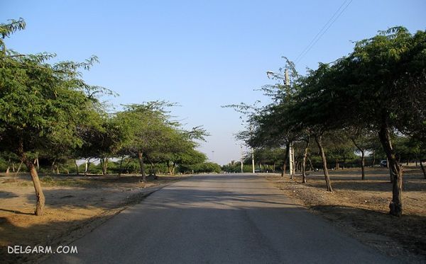 پارک جنگلی خلیج فارس بندرعباس
