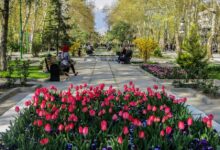 آشنایی با بهترین و معروف ترین پارک های تهران (+ تصاویر)