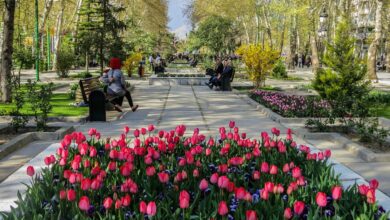 آشنایی با بهترین و معروف ترین پارک های تهران (+ تصاویر)