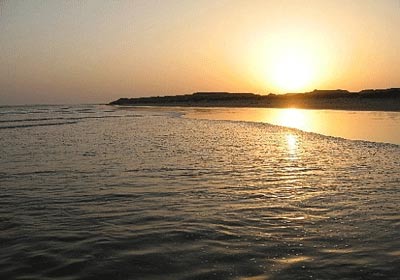 سفر به جزیره شگفتی‌ها