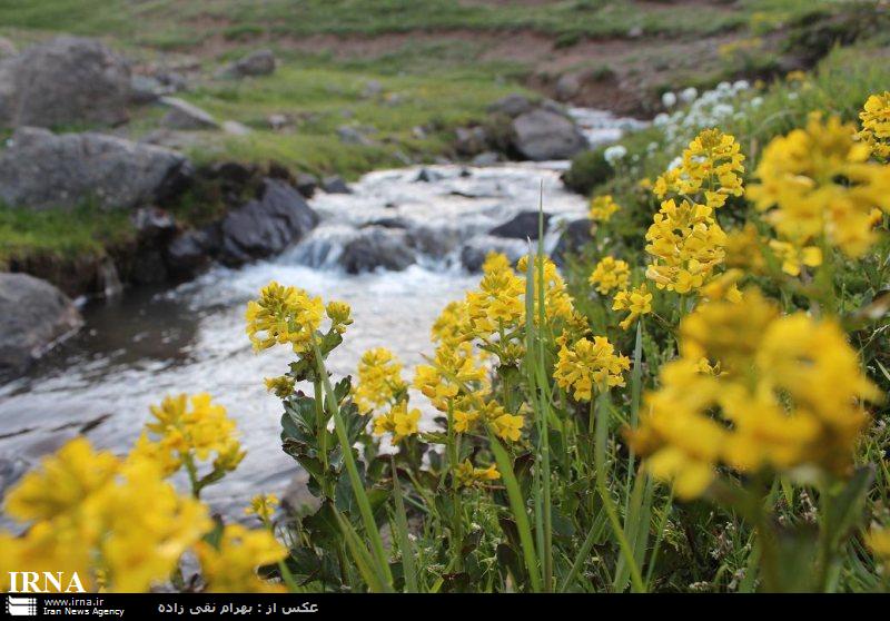 جاده جنگلی اسالم به خلخال و بهترین زمان برای سفر کردن به آن