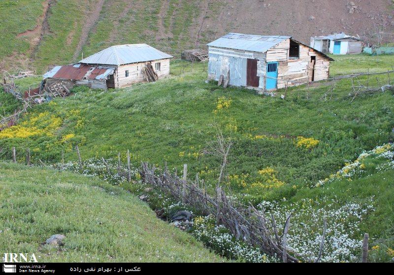 جاده جنگلی اسالم به خلخال و بهترین زمان برای سفر کردن به آن