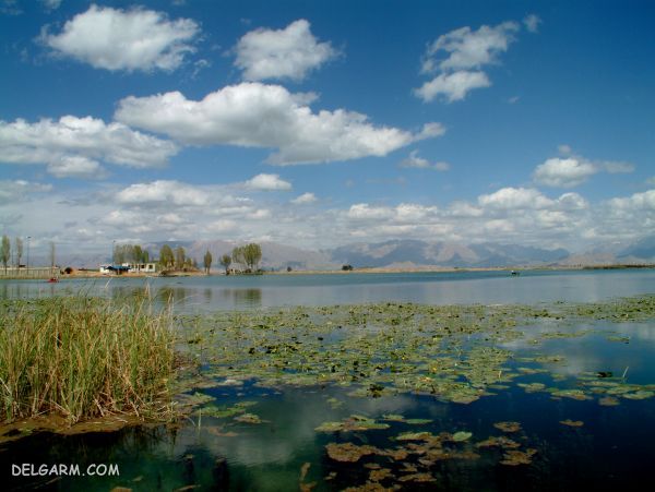 تجربه سفر تابستانی در کرمانشاه