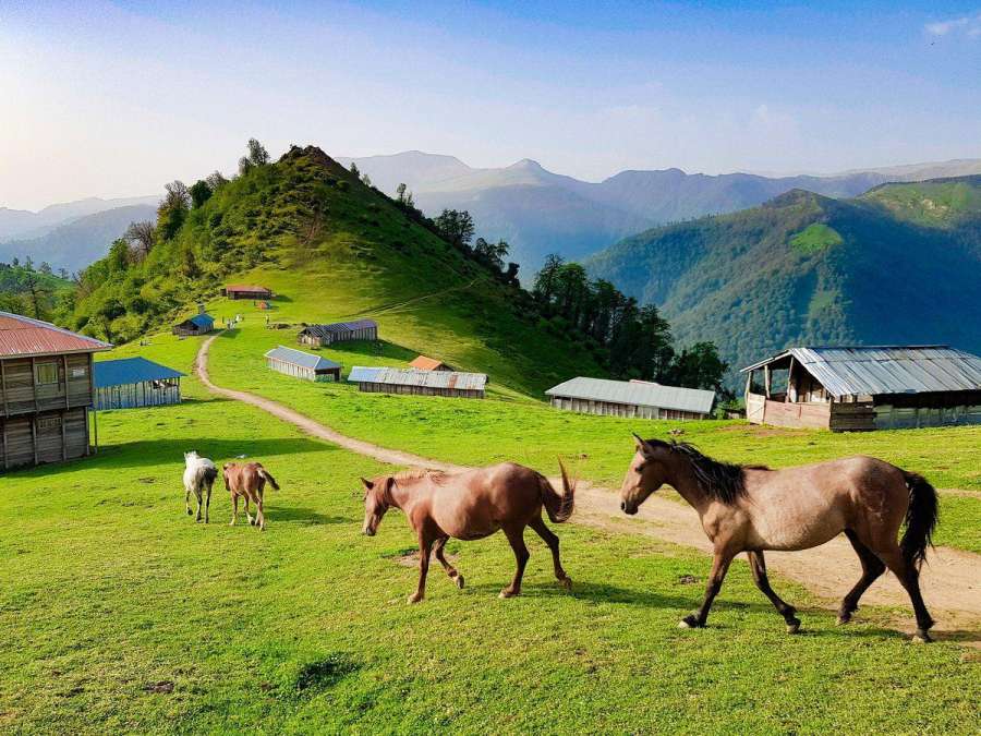 نکاتی برای خرید ملک در گیلان، سرزمین بکر و رویایی