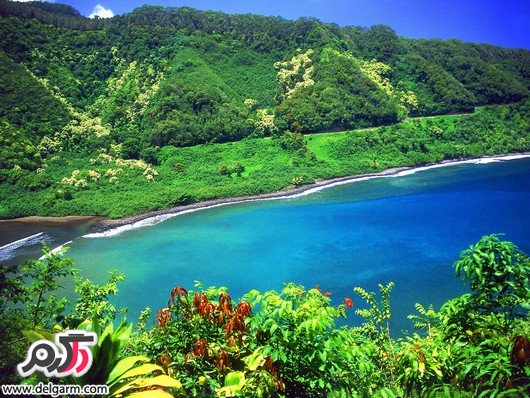 جزیره ی ماوی (مائویی Maui) هفدهمین جزیره ی بزرگ آمریکا (+ تصاویر)