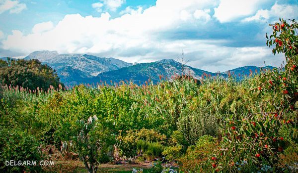 معرفی مناطق و طبیعت بکر ایران