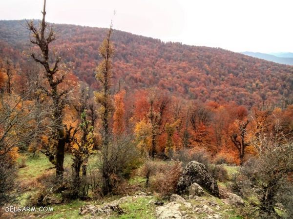معرفی مناطق و طبیعت بکر ایران
