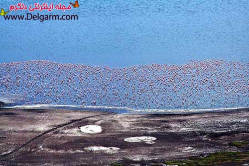 زیباترین دریاچه های جهان + عکس