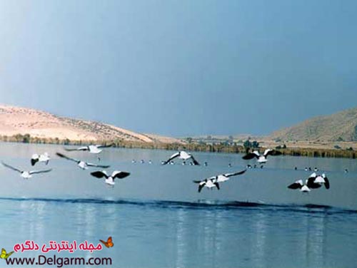 زیباترین دریاچه های جهان + عکس