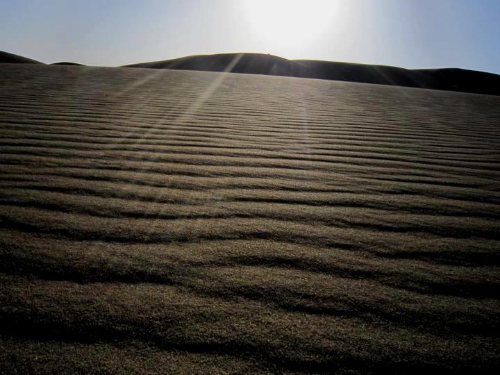 کویر مصر