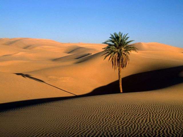 کویر مصر