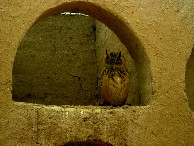 باغ پرندگان اصفهان