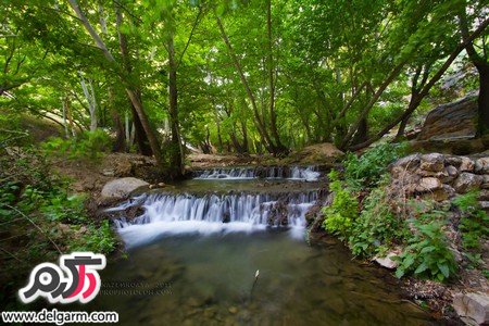 تنگ بستانک بهشت دیگری نزدیک به شیراز (+ تصاویر)