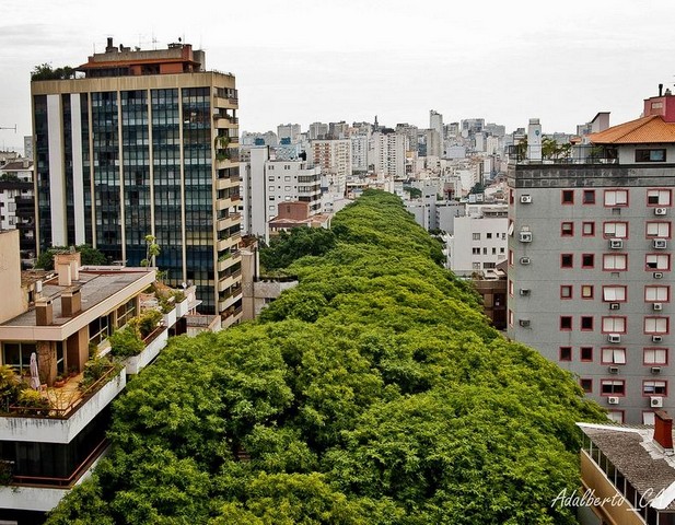 زیباترین خیابان دنیا + عکس