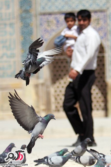 به اصفهان رو که تا بنگری بهشت ثانی-سری سوم