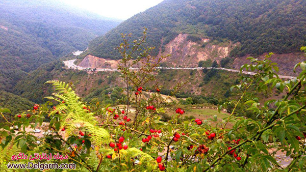 گردنه حیران