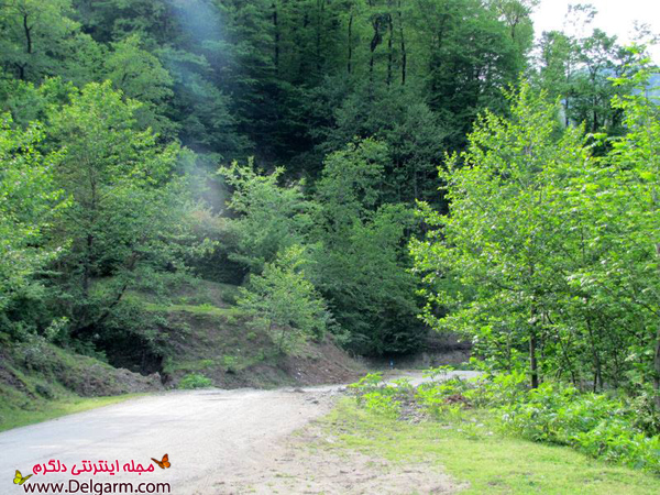گردنه حیران