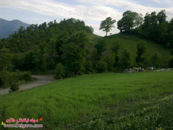 گردنه حیران