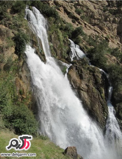 آشنایی با طبیعت زیبای سبز کوه شهرکرد