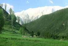 آشنایی با طبیعت زیبای سبز کوه شهرکرد (+ تصاویر)
